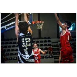 U18-513.jpg